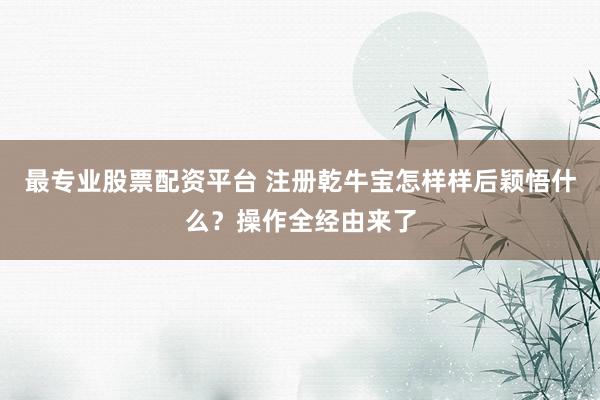 最专业股票配资平台 注册乾牛宝怎样样后颖悟什么？操作全经由来了