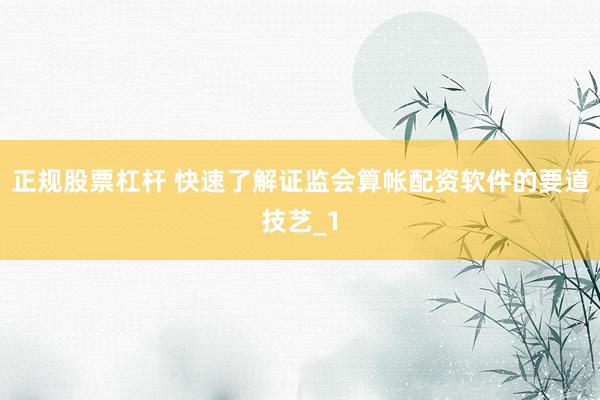 正规股票杠杆 快速了解证监会算帐配资软件的要道技艺_1