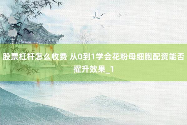 股票杠杆怎么收费 从0到1学会花粉母细胞配资能否擢升效果_1