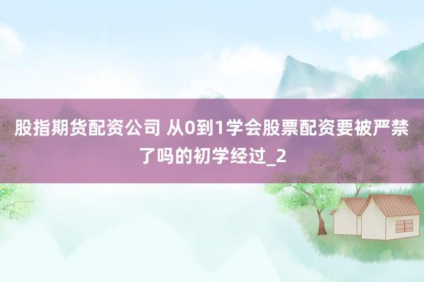 股指期货配资公司 从0到1学会股票配资要被严禁了吗的初学经过_2